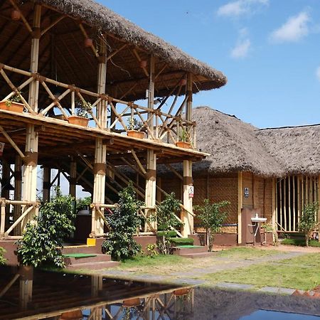 Spykee Spot Hampi Hotell Exteriör bild
